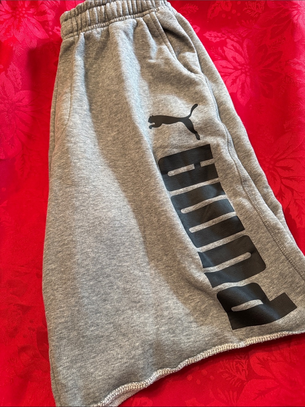 Puma Men”s Pocket Athletic Shorts